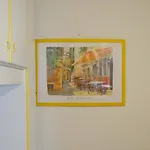 Cardellino, Piccolo E Accogliente Dietro La 格拉多