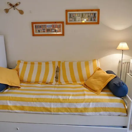 Cardellino, Piccolo E Accogliente Dietro La Tatil Evi